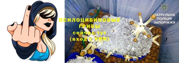 мяу мяу кристалл Осинники